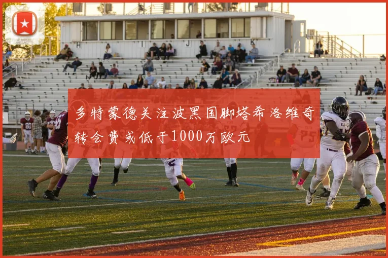 多特蒙德关注波黑国脚塔希洛维奇转会费或低于1000万欧元
