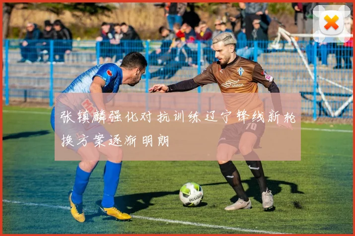 张镇麟强化对抗训练辽宁锋线新轮换方案逐渐明朗